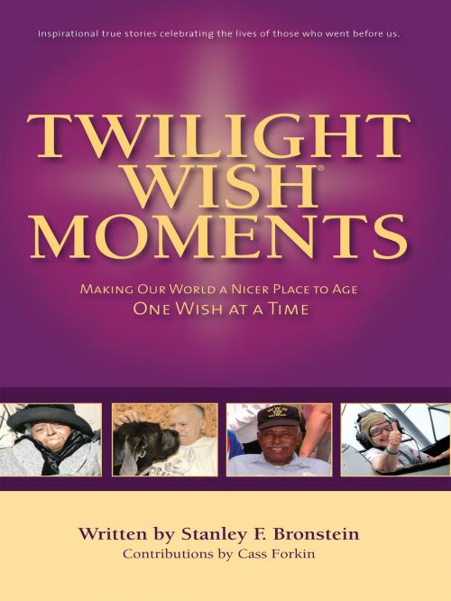 Cover of the book Twilight Wish Moments by Stanley Bronstein, Stanley Bronstein
