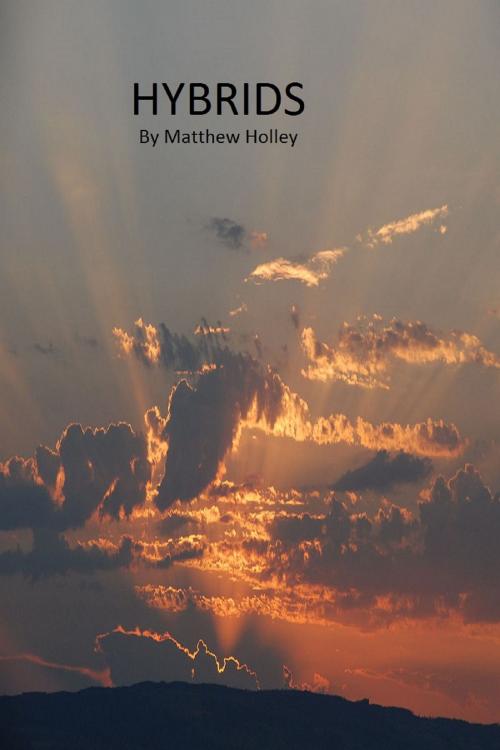 Cover of the book Hybrids (Revised) by Matthew Holley, Matthew Holley