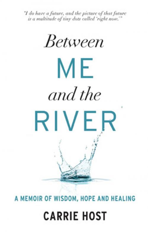 Cover of the book Between Me and the River by Carrie Host, Harlequin