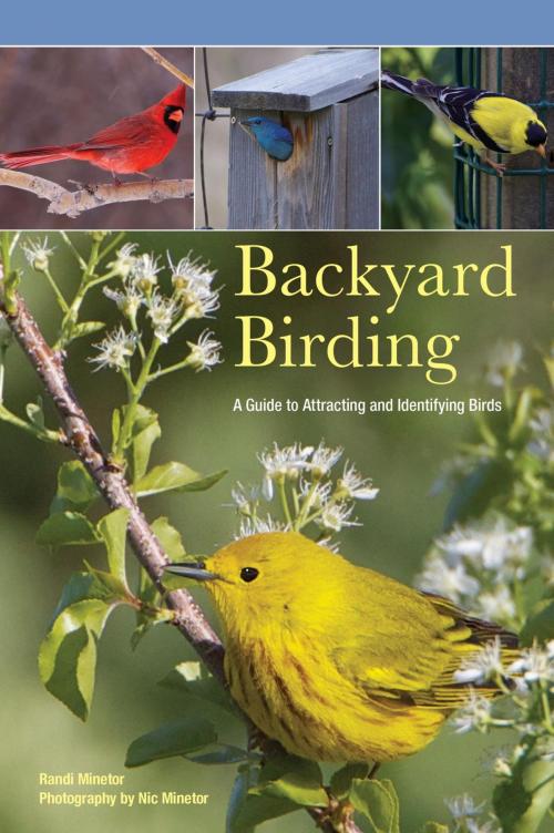 Cover of the book Backyard Birding by Randi Minetor, Lyons Press