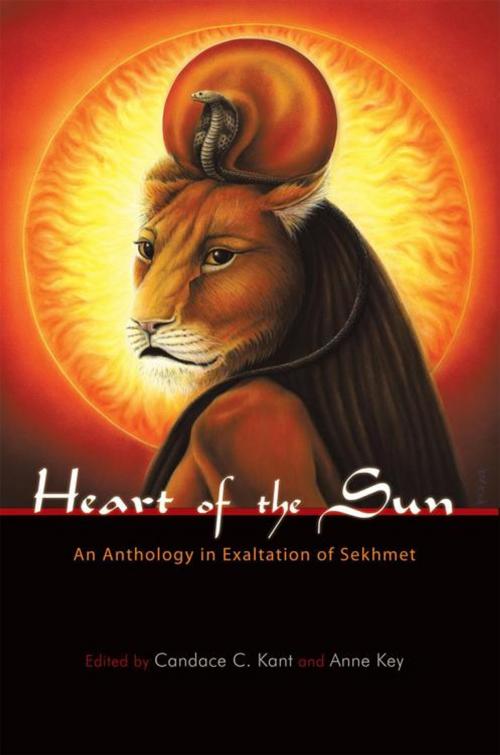 Cover of the book Heart of the Sun by , iUniverse