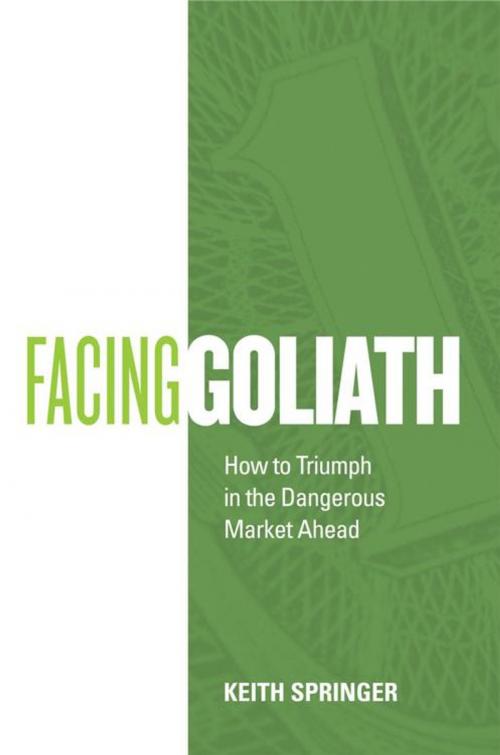 Cover of the book Facing Goliath by Keith Springer, iUniverse