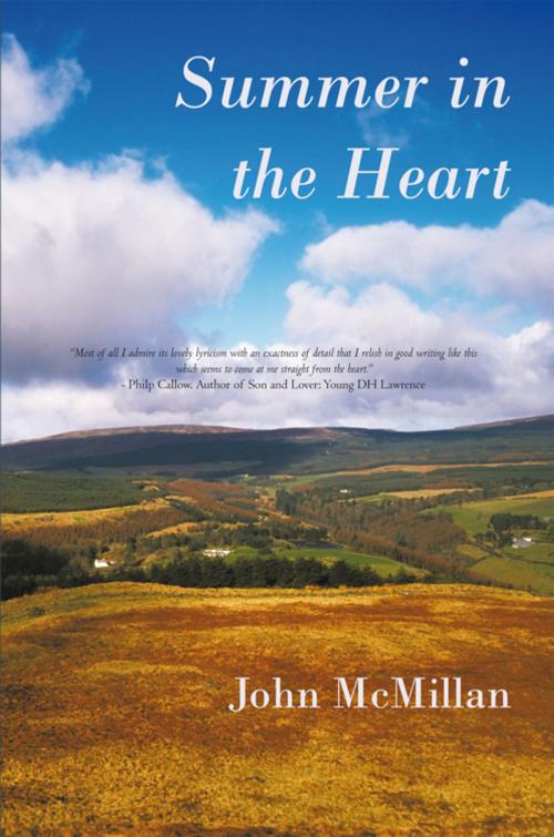 Cover of the book Summer in the Heart by John McMIillan, iUniverse