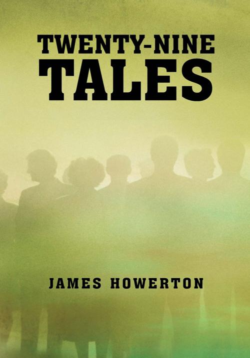 Cover of the book Twenty-Nine Tales by James Howerton, iUniverse
