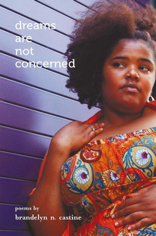 Cover of the book Dreams Are Not Concerned by Brandelyn N. Castine, iUniverse