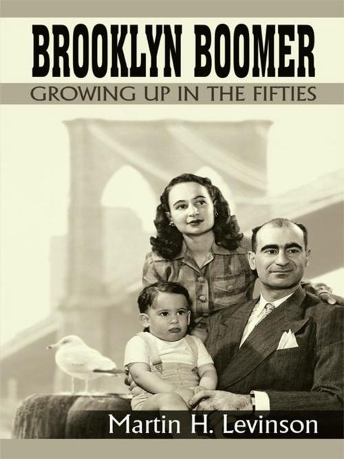 Cover of the book Brooklyn Boomer by Martin H. Levinson, iUniverse