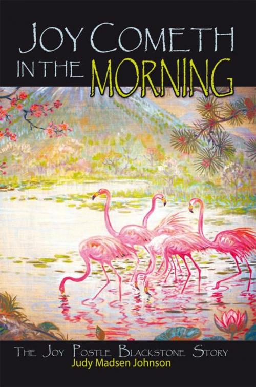 Cover of the book Joy Cometh in the Morning by Judy Madsen Johnson, iUniverse