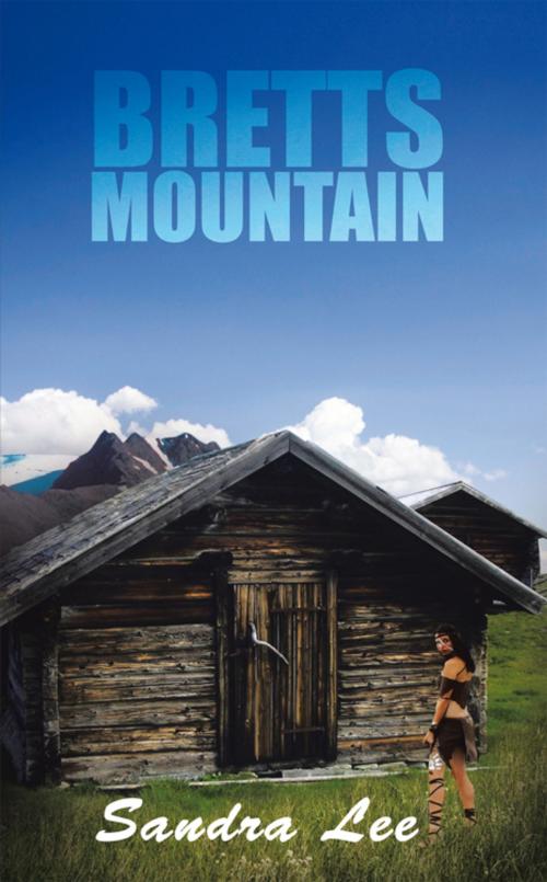 Cover of the book Bretts Mountain by Sandra Lee, AuthorHouse
