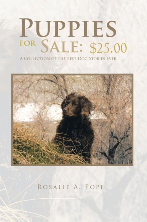 Cover of the book Puppies for Sale: $25.00 by Rosalie A. Pope, AuthorHouse