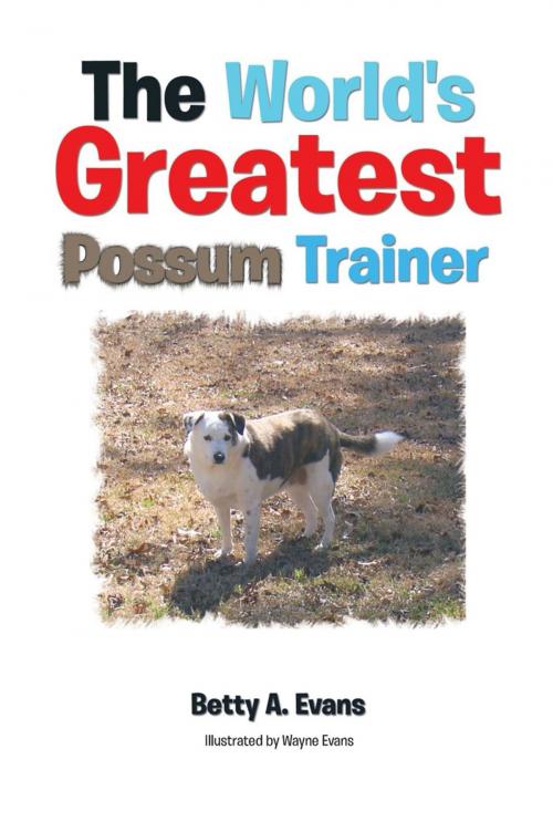 Cover of the book The World's Greatest Possum Trainer by Betty A. Evans, AuthorHouse