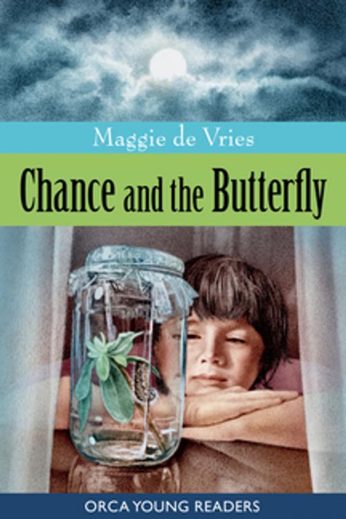 Cover of the book Chance and the Butterfly by Maggie De Vries, Orca Book Publishers