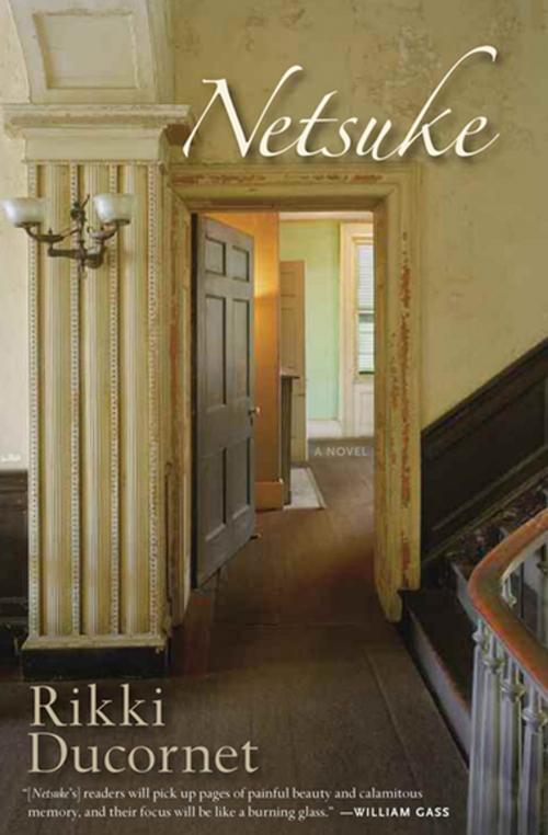 Cover of the book Netsuke by Rikki Ducornet, Coffee House Press