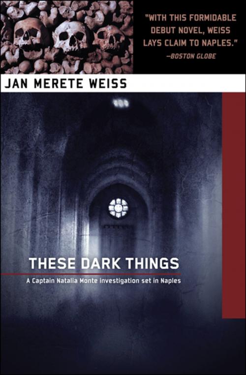 Cover of the book These Dark Things by Jan Merete Weiss, Soho Press