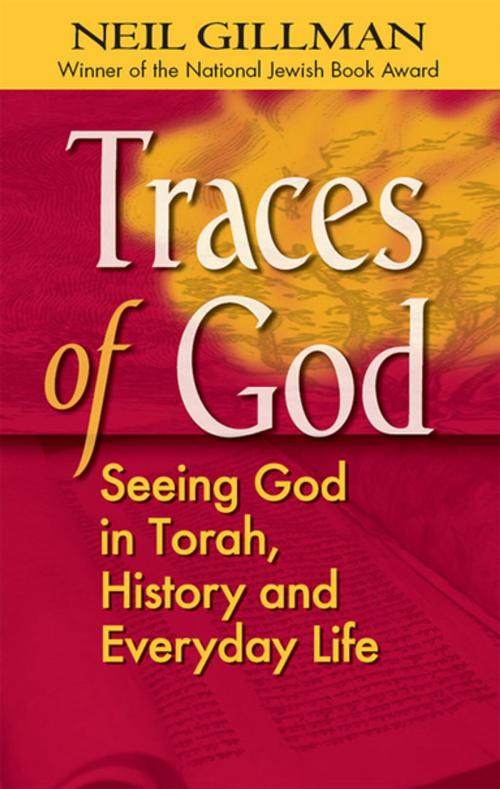 Cover of the book Traces of God by Rabbi Neil Gillman, Turner Publishing Company