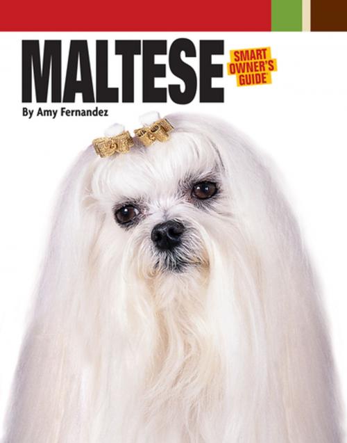 Cover of the book Maltese by Dog Fancy Magazine, CompanionHouse Books