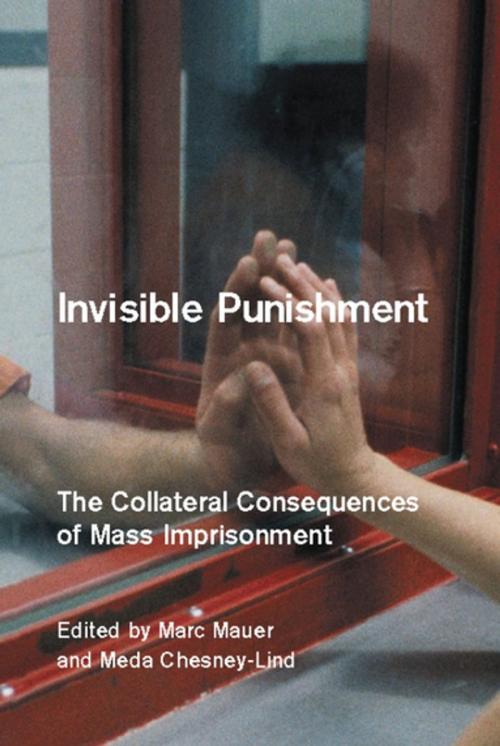 Cover of the book Invisible Punishment by , The New Press