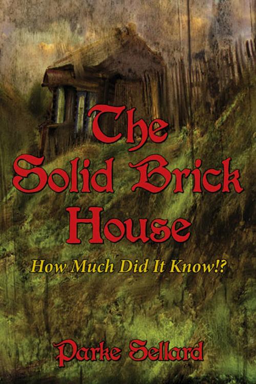Cover of the book The Solid Brick House by Parke Sellard, Fideli Publishing, Inc.