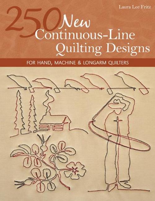 Cover of the book 250 New Continuous-Line Quilting Designs by Laura Lee Fritz, C&T Publishing