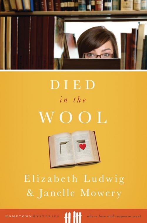 Cover of the book Died in the Wool by Elizabeth Ludwig Janelle Mowery, Barbour Publishing, Inc.