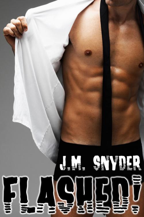Cover of the book Flashed! by J.M. Snyder, JMS Books LLC