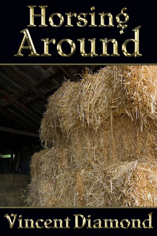 Cover of the book Horsing Around by Vincent Diamond, JMS Books LLC