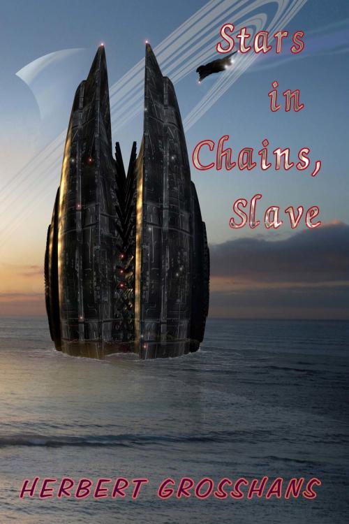 Cover of the book Slave by Herbert Grosshans, Melange Books, LLC
