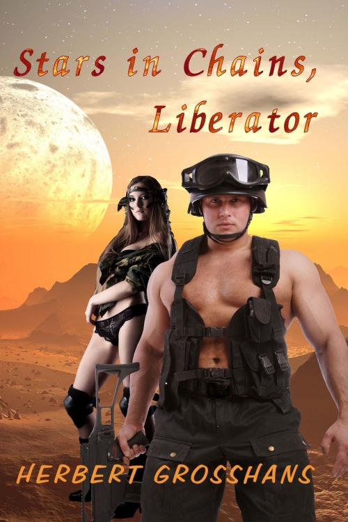 Cover of the book Liberator by Herbert Grosshans, Melange Books, LLC