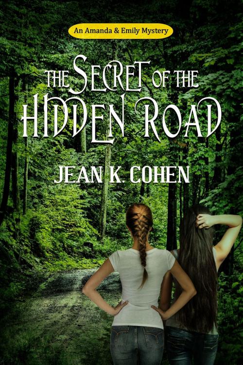 Cover of the book The Secret of the Hidden Road by Jean K. Cohen, Moonlight Books