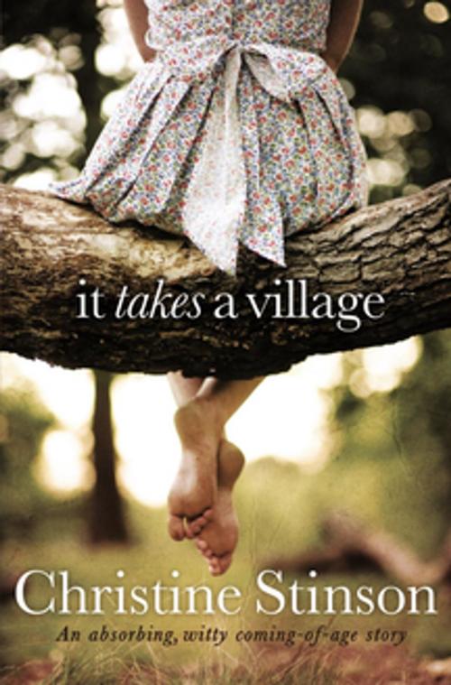 Cover of the book It Takes a Village by Christine Stinson, Pan Macmillan Australia