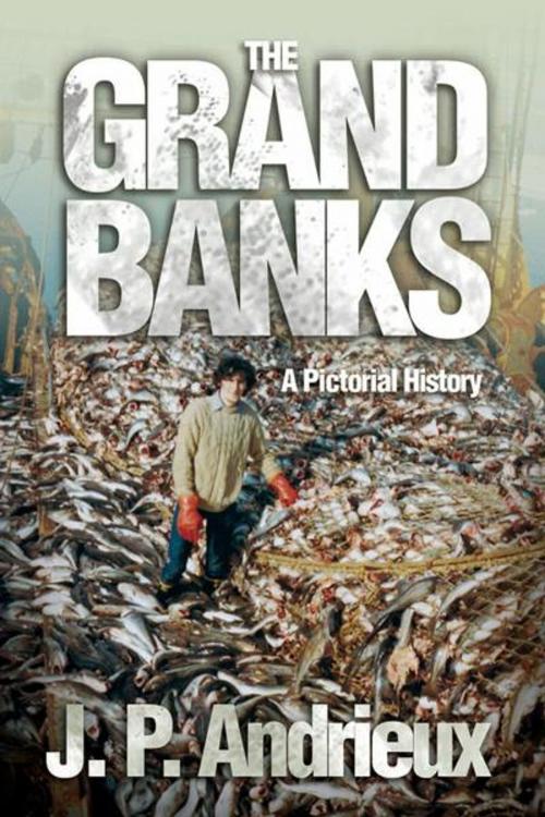 Cover of the book The Grand Banks: A Pictorial History by J. P. Andrieux, Flanker Press