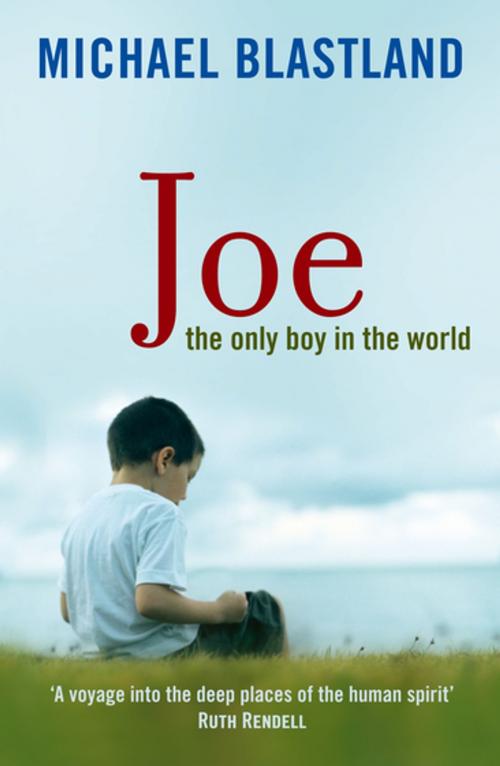 Cover of the book Joe by Michael Blastland, Profile