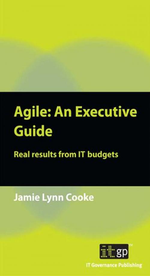 Cover of the book Agile: An Executive Guide by Jamie Lynn Cooke, BSc Engineering Psychology, IT Governance Ltd