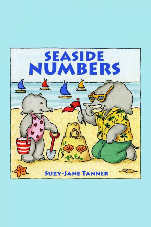 Cover of the book Seaside Numbers by Suzy-Jane Tanner, Andrews UK