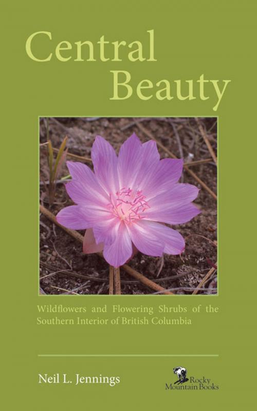 Cover of the book Central Beauty by Neil L. Jennings, Rocky Mountain Books
