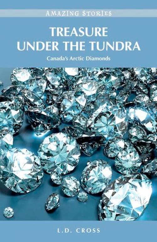 Cover of the book Treasure Under the Tundra by L. D. Cross, Heritage House