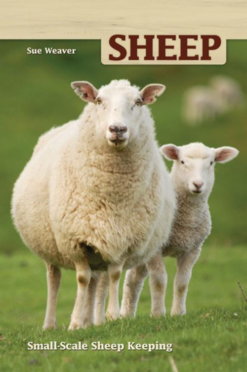 Cover of the book Sheep by Sue Weaver, CompanionHouse Books