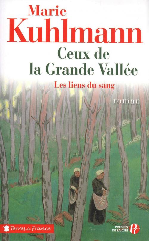 Cover of the book Ceux de la grande vallée by Marie KUHLMANN, Place des éditeurs