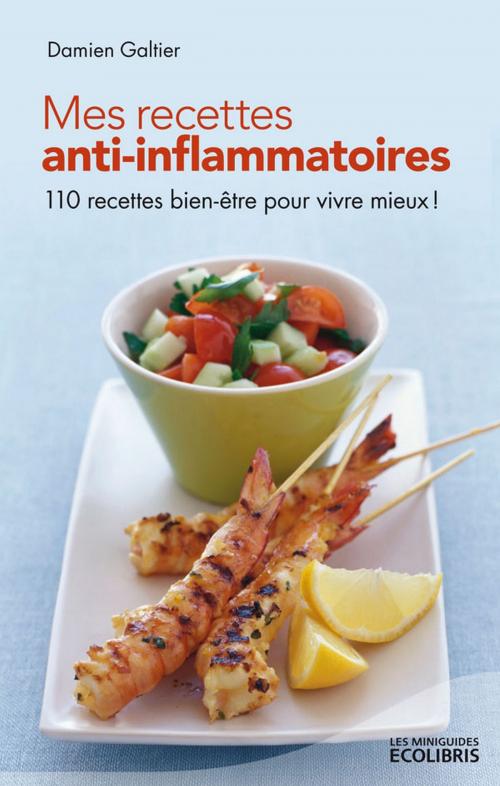 Cover of the book Mes recettes anti-inflammatoires by Damien Galtier, Ixelles Editions