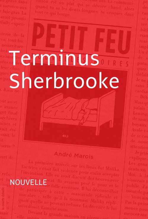 Cover of the book Terminus Sherbrooke by André Marois, La courte échelle