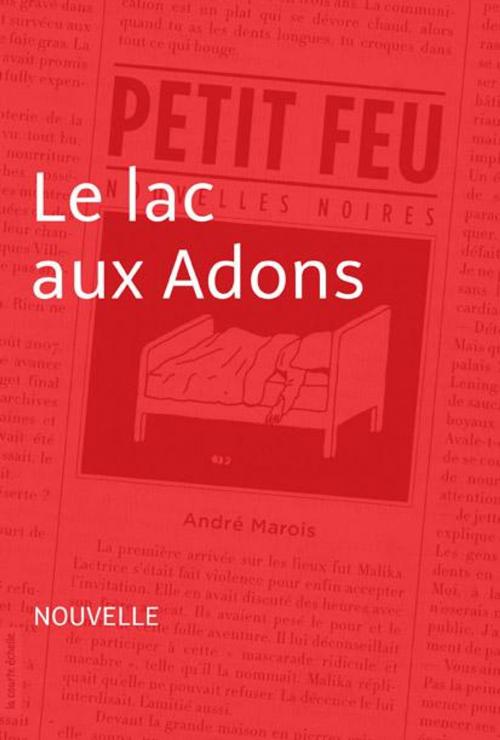 Cover of the book Le lac aux Adons by André Marois, La courte échelle