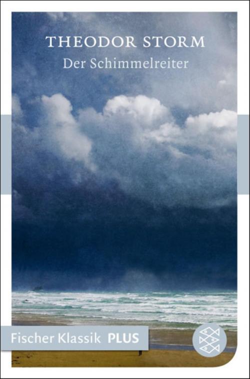 Cover of the book Der Schimmelreiter by Theodor Storm, FISCHER E-Books