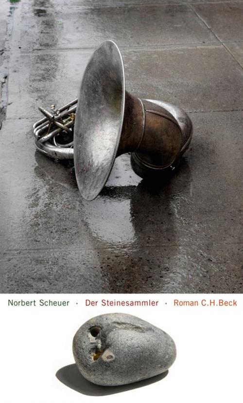 Cover of the book Der Steinesammler by Norbert Scheuer, C.H.Beck