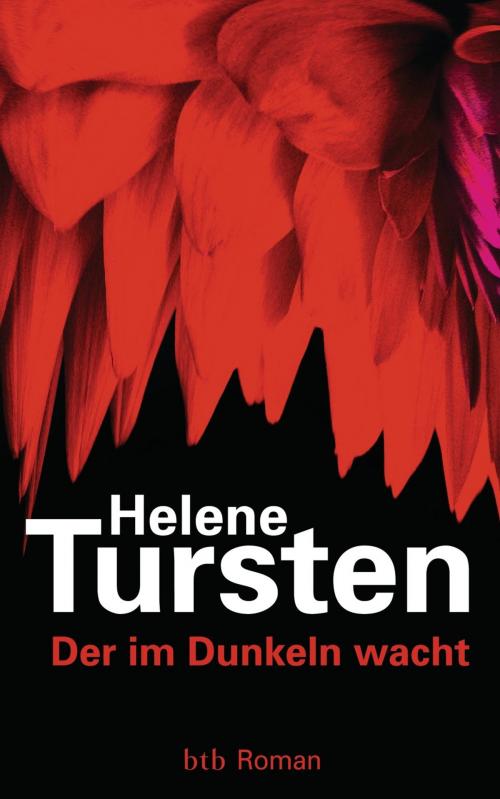Cover of the book Der im Dunkeln wacht by Helene Tursten, btb Verlag
