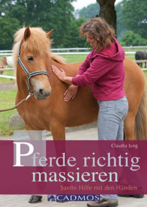 Cover of the book Pferde richtig massieren by Claudia Jung, Cadmos Verlag