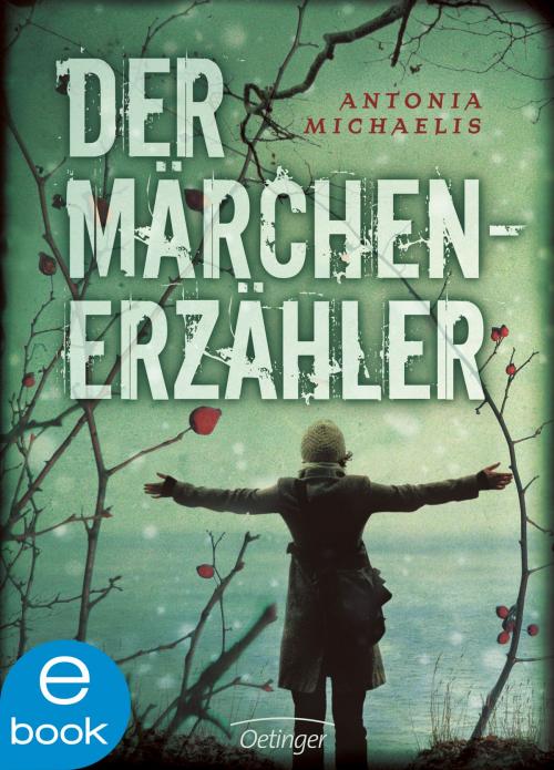 Cover of the book Der Märchenerzähler by Antonia Michaelis, Verlag Friedrich Oetinger