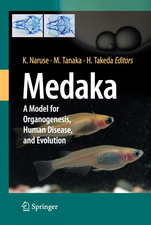 Cover of the book Medaka by , Springer Japan