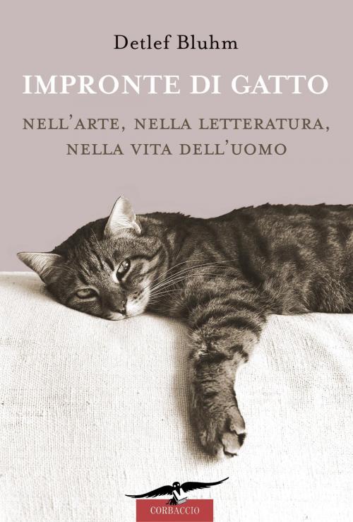 Cover of the book Impronte di gatto by Detlef Bluhm, Corbaccio