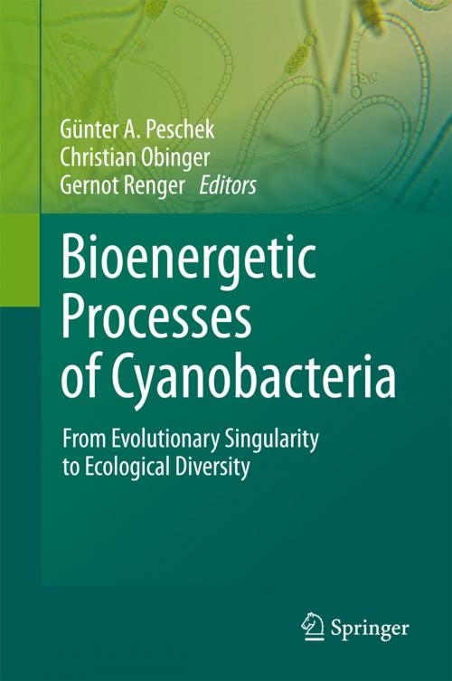 Cover of the book Bioenergetic Processes of Cyanobacteria by , Springer Netherlands