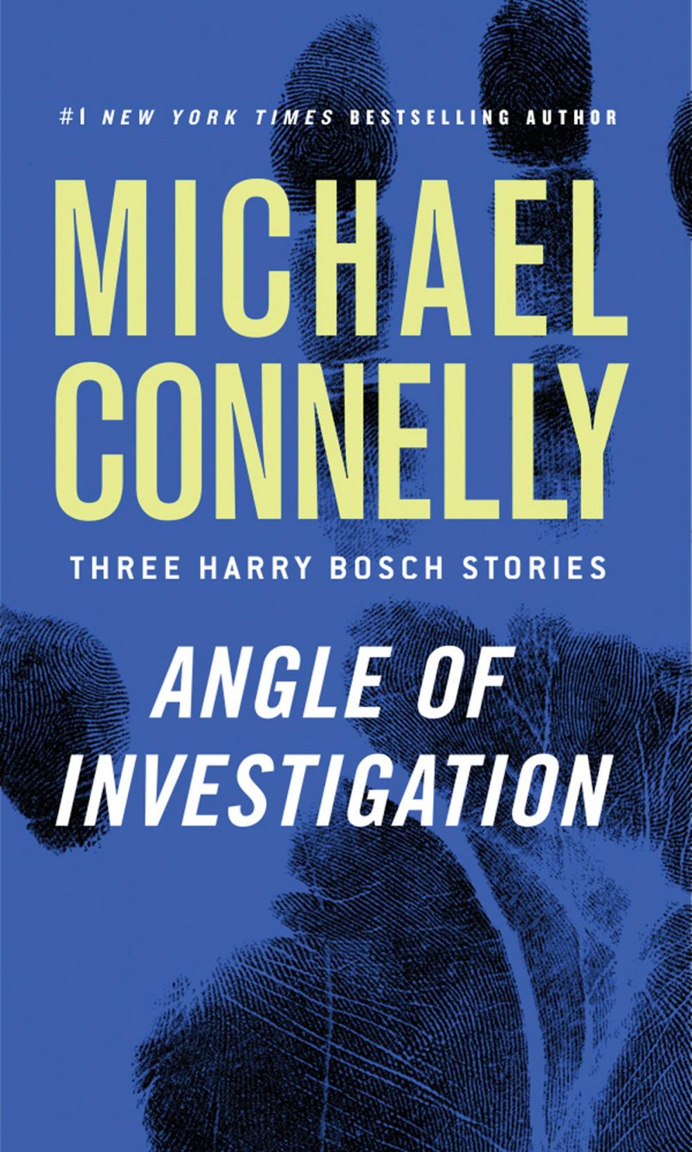 Big bigCover of Angle of Investigation
