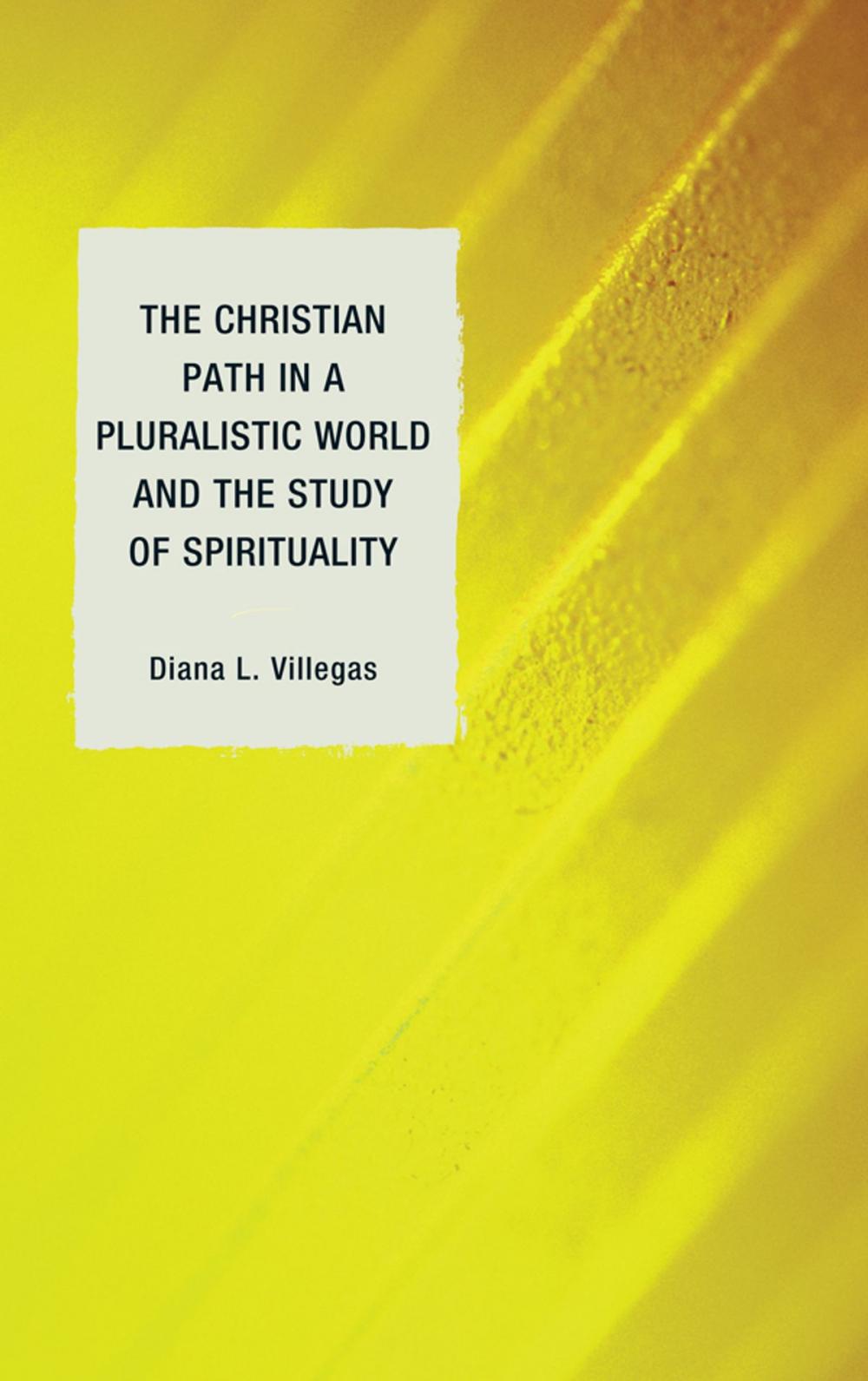 Big bigCover of The Christian Path in a Pluralistic World and the Study of Spirituality
